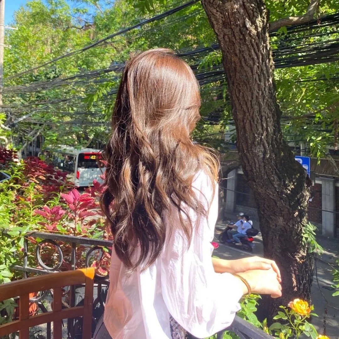 夏之庭
